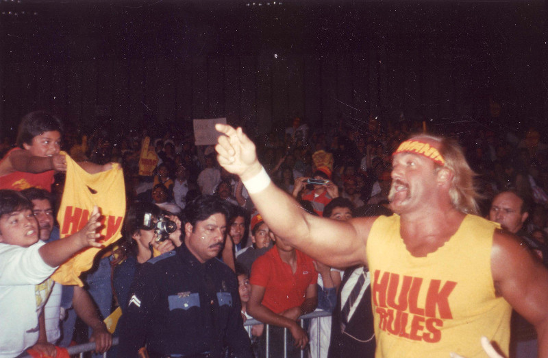 image of hulk hogan pointing at fans